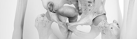 3D-Illustration zum Thema Gynäkologie, mit Schwerpunkt auf dem unteren Bauch- und Beckenbereich.