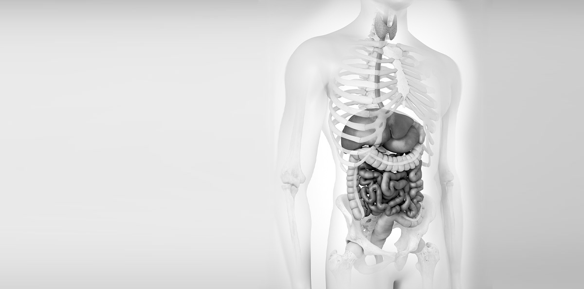 Allgemein- / Viszeralchirurgie